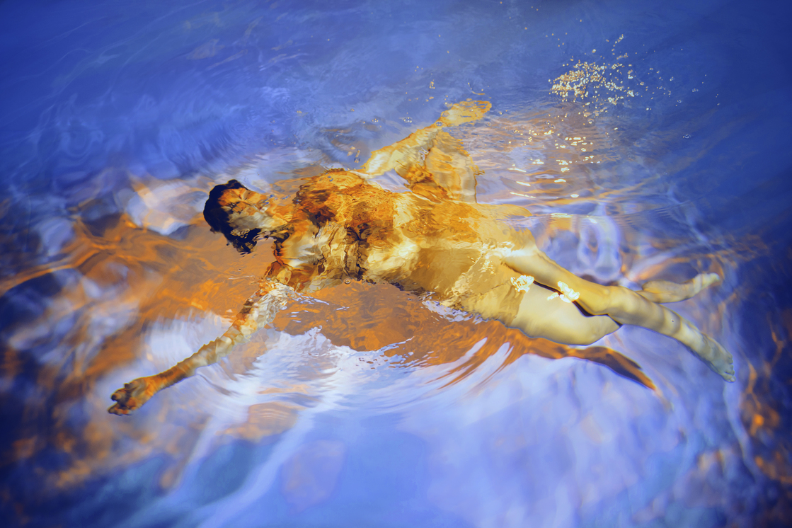 05_Marta-Syrko_Immersion_Ruzy